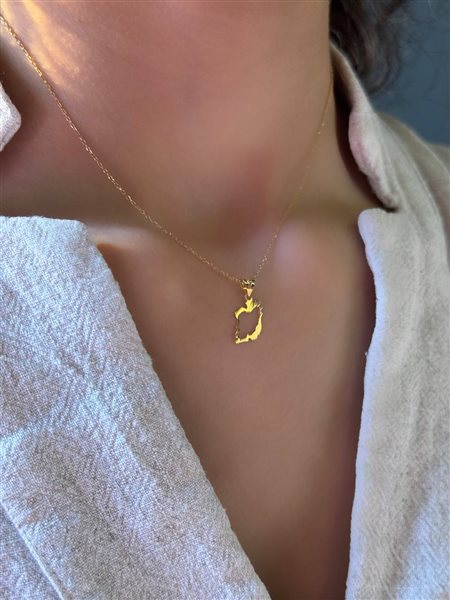 مینی پلاک طلا ایران کدN3243