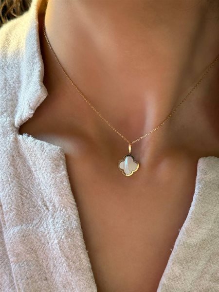 پلاک طلا ون کلیف کدN3304