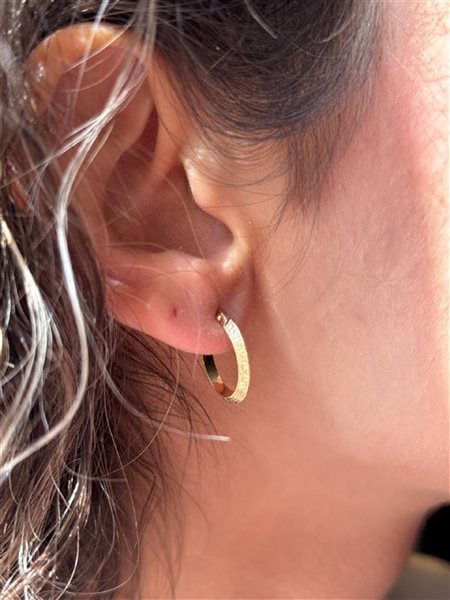 گوشواره طلا ورساچه کدE1742