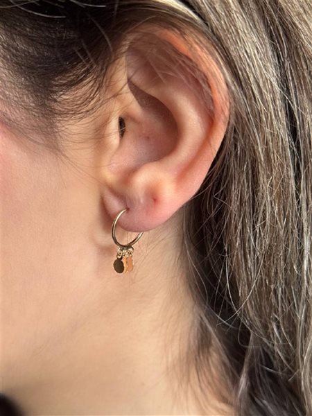 گوشواره طلا پولکی بزرگ کدE1751