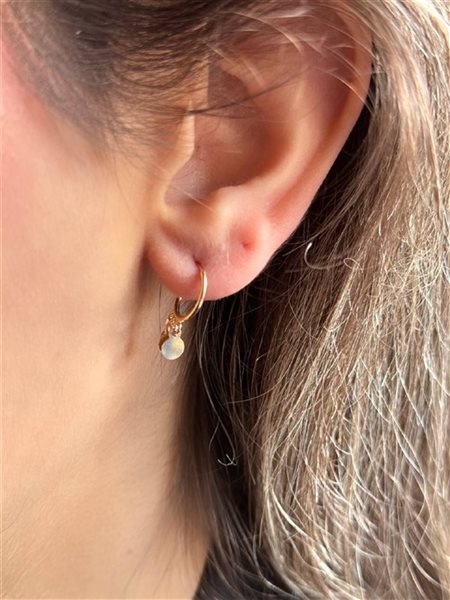 گوشواره طلا پولکی کوچک کدE1752