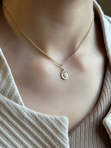 پلاک طلا هخامنشی کدN3481